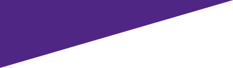 purplehalf