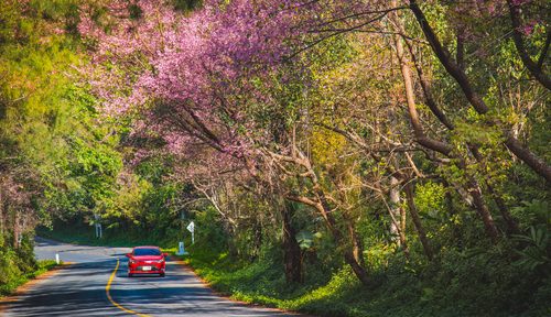 stress-free driving