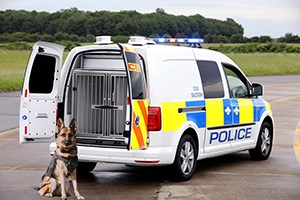 Volkswagen canine Caddy conversion