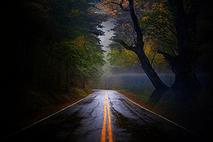 Driving in the dark