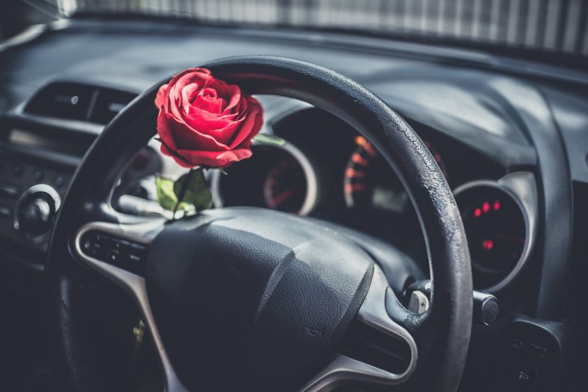 Interior of vehicle, red rose sits on the steering wheel